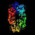 Latest research on protein folding poses serious questions for an evolutionary origin