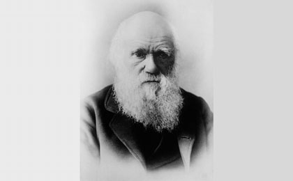 Darwin's Doubt about evolution